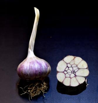 Red Toch: Der vollmundige Softneck-Knoblauch aus Georgien