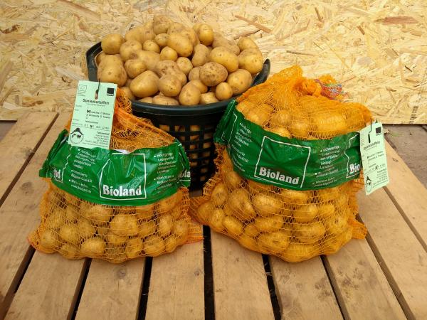 Bioland-Frhkartoffeln festkochend im 12,5 kg-Sack - Tannenhof Imshausen