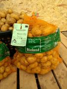 12,5kg Bio-Frühkartoffeln festkochend